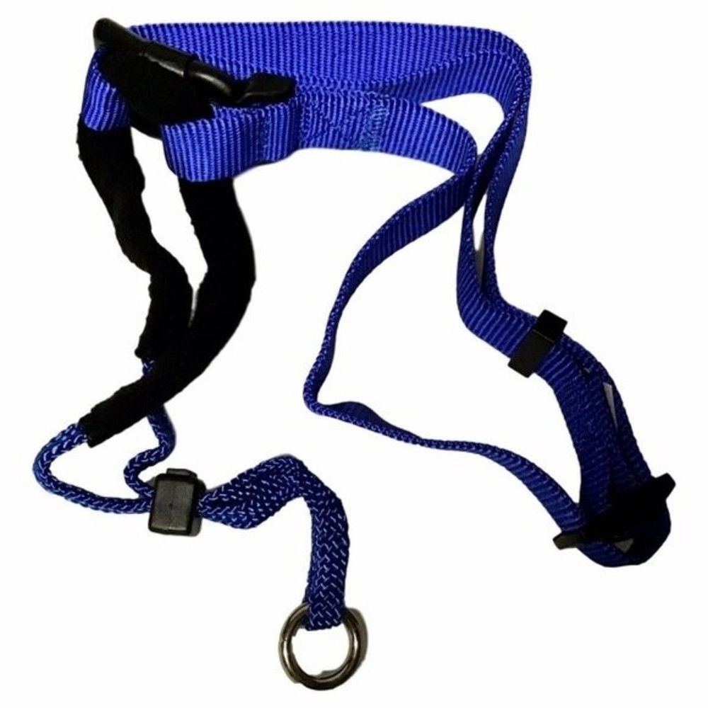 Aspen Pet Large Blue Dog Padded Training Halter Humanly Trains Them Not To Pull